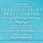 Aleyna Font Poster 4