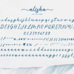 Alisha Font Poster 7