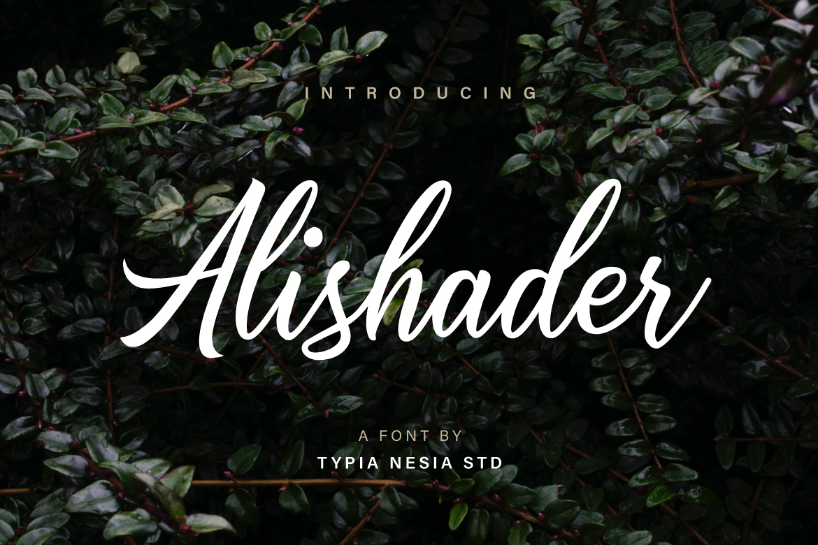 Alishader Font
