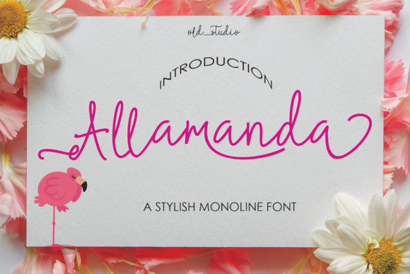 Allamanda Font Poster 1