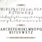 Allison Style Duo Font Poster 9