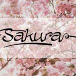 Allura Script Font Poster 3