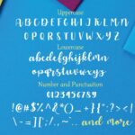 Allyca Font Poster 3