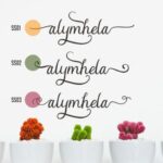 Alymhela Font Poster 9