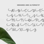 Amanda Font Poster 5