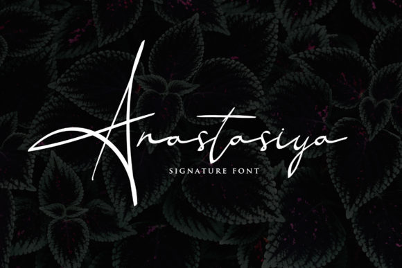 Anastasiya Font