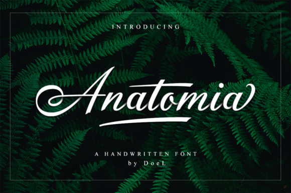 Anatomia Script Font Poster 1