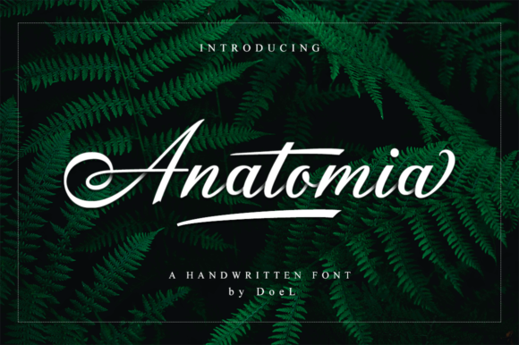 Anatomia Script Font Anatomia Script Font Poster 1