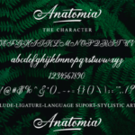 Anatomia Script Font Poster 9