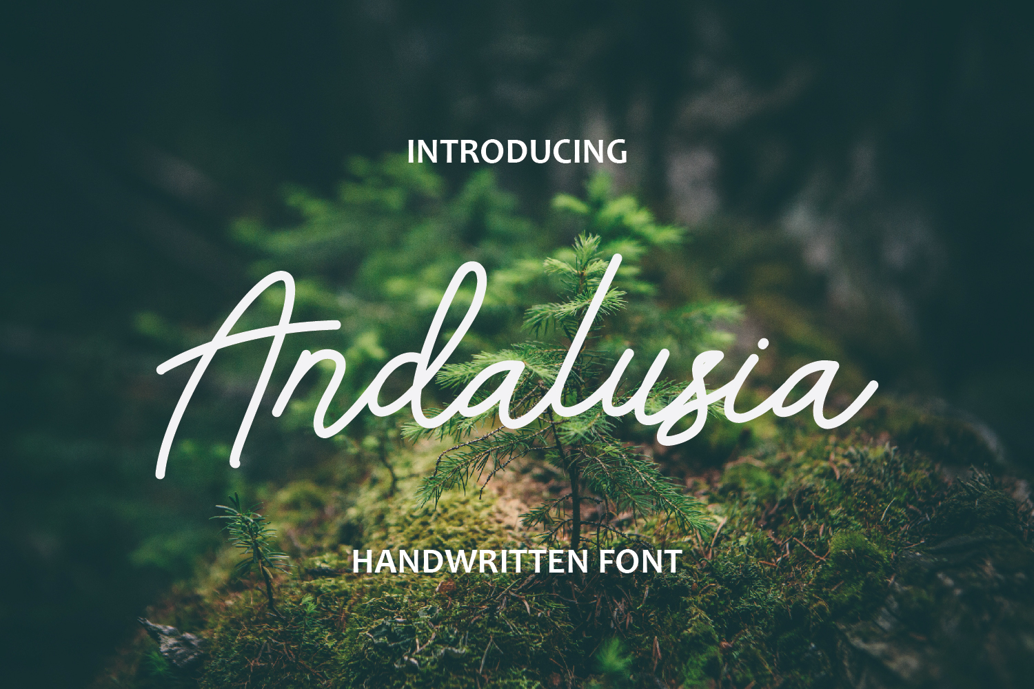 Andalusia Font Poster 1