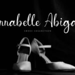 Anderella Font Poster 4