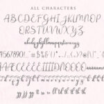 Andina Script Font Poster 11