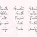 Andina Script Font Poster 7