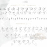 Andora Font Poster 10