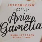 Ania Gamelia Font Poster 1