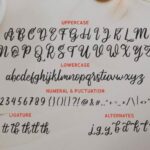 Ania Gamelia Font Poster 4