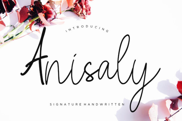 Anisaly Font Poster 1