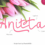 Anitta Script Font Poster 1