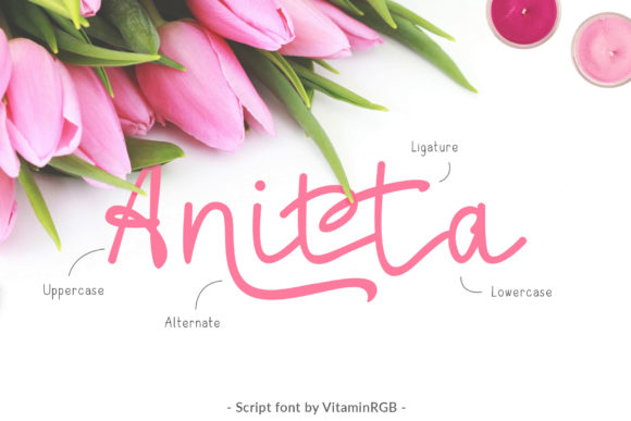 Anitta Script Font