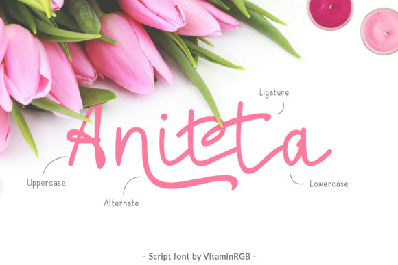 Anitta Script Font Poster 1