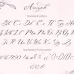 Aniyah Script Font Poster 4