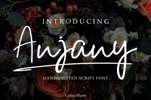 Anjany Font