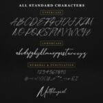 Anthoni Signature Font Poster 8