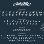 Antonellie Font Poster 12