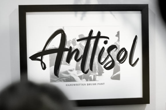 Anttisol Font