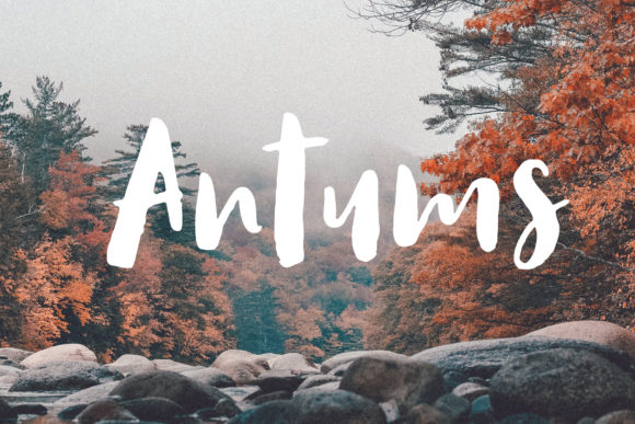 Antums Font Poster 1