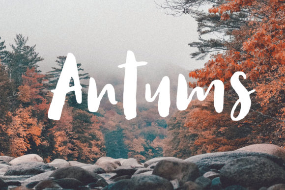 Antums Font