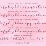 Anything Script Font Poster 11