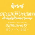 Apricat Font Poster 6