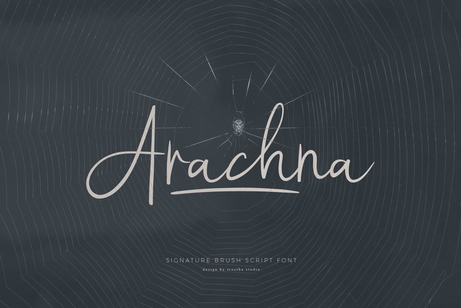 Arachna Font