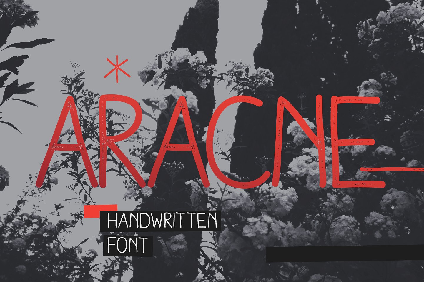 Aracne Font Poster 1