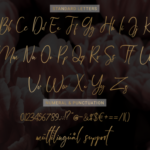 Arandalle Script Font Poster 9