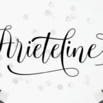 Ariteline Script Font Poster 7