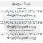 Ariteline Script Font Poster 8