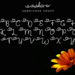 Aroha Script Font Poster 6