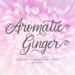 Aromatic Ginger Font Poster 1