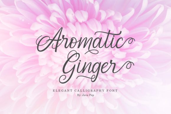 Aromatic Ginger Font Poster 1