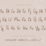 Attaya Font Poster 7