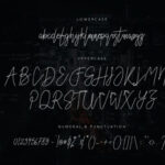 Austin Worth Font Poster 4