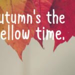 Autumn Happiness Font Poster 2