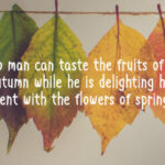 Autumn Happiness Font Poster 3