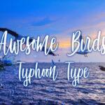 Awesome Birds Font Poster 1