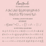 Awestruck Font Poster 13