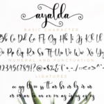 Ayalda Font Poster 11