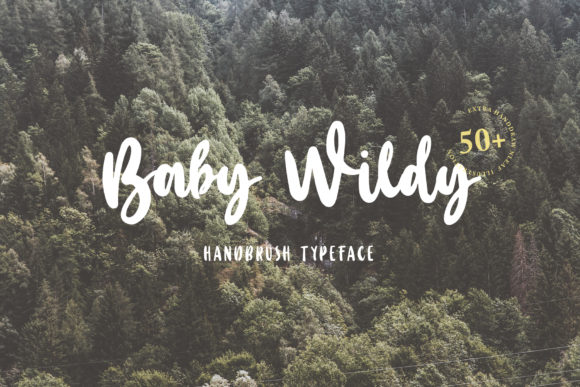Baby Wildy Font Poster 1