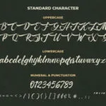 Baghotta Font Poster 6